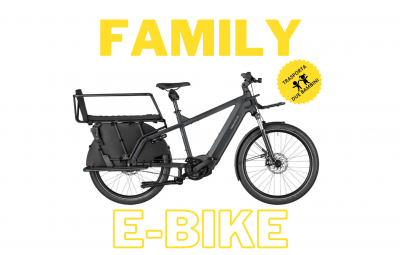 Family e-Bike